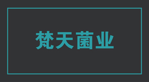 食品行业宜春冲锋衣设计款式